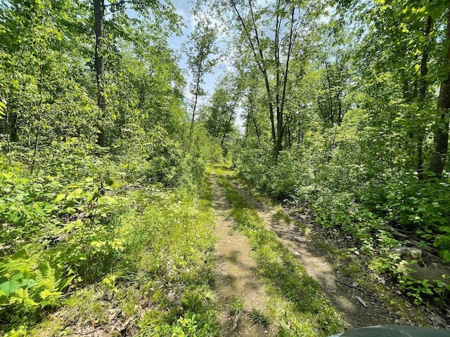 43190 Government Rd, Hinckley, MN 55037 - view of local wilderness