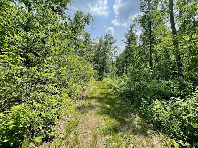 43190 Government Rd, Hinckley, MN 55037 - view of tree filled area