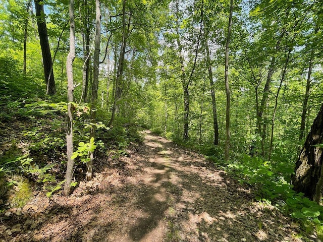 43190 Government Rd, Hinckley, MN 55037 - view of tree filled area