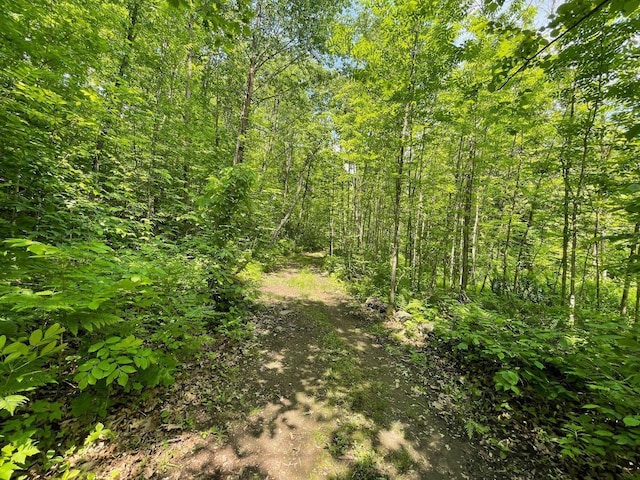 43190 Government Rd, Hinckley, MN 55037 - view of wooded area