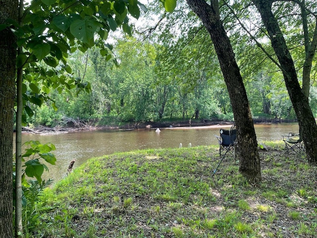 43190 Government Rd, Hinckley, MN 55037 - water view with a heavily wooded area