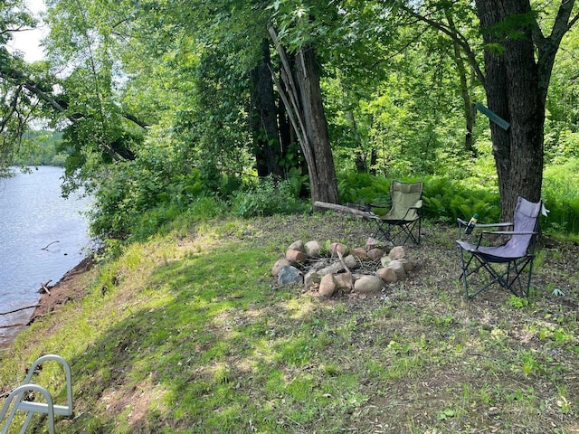 43190 Government Rd, Hinckley, MN 55037 - view of yard with a water view and a wooded view