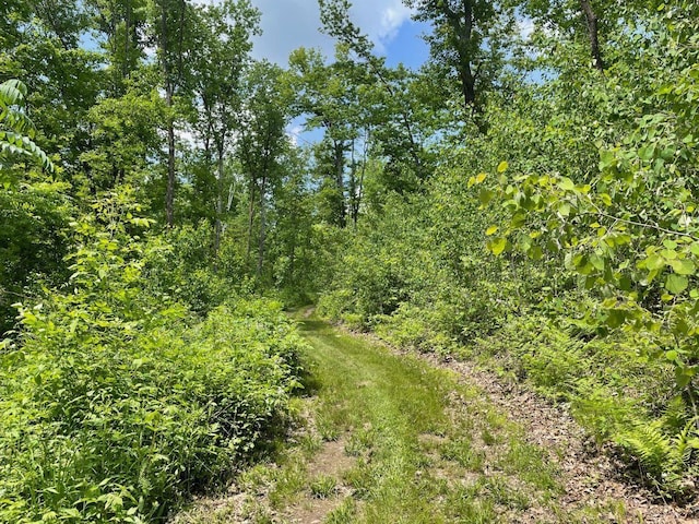 43190 Government Rd, Hinckley, MN 55037 - view of undeveloped land
