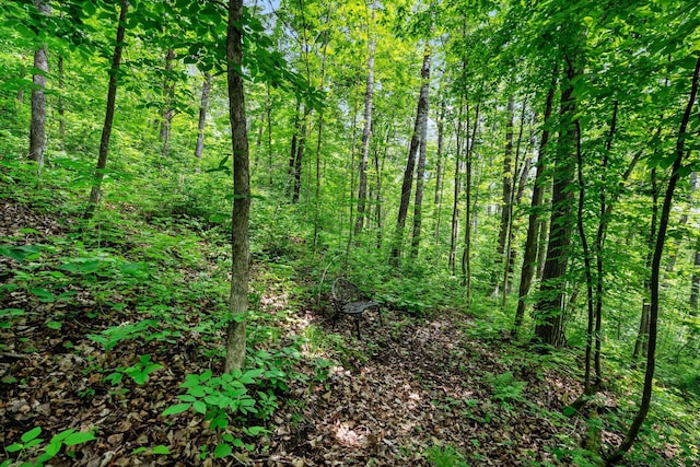 43190 Government Rd, Hinckley, MN 55037 - view of woods