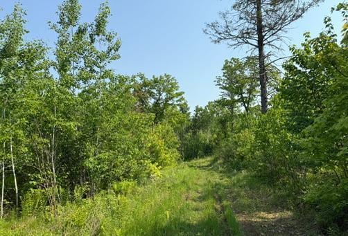 TBD County Road T, Dairyland, WI 54830