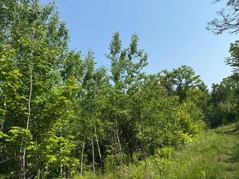 TBD County Road T, Dairyland, WI 54830