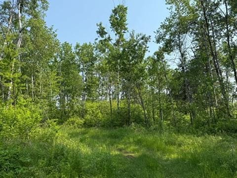 TBD County Road T, Dairyland, WI 54830