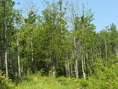 TBD County Road T, Dairyland, WI 54830