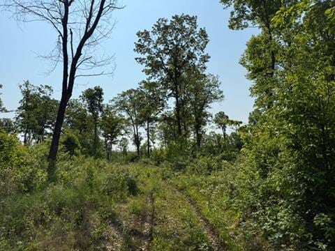 TBD County Road T, Dairyland, WI 54830
