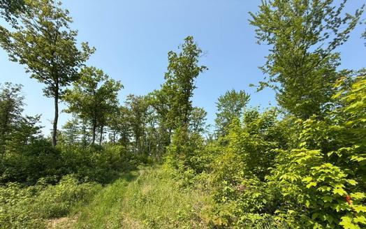 TBD County Road T, Dairyland, WI 54830