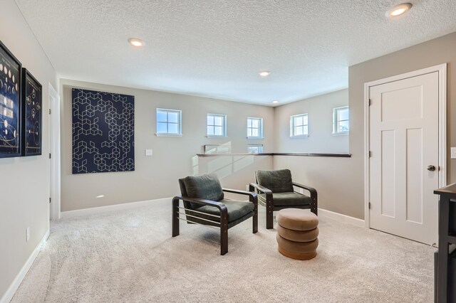 8014 149th Ln NW, Ramsey, MN 55303 - photo 18