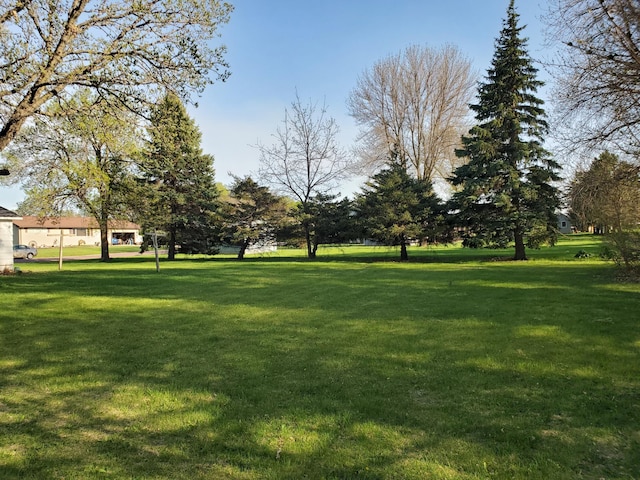 801 Greenwood Ave, Tracy, MN 56175 - view of grassy yard