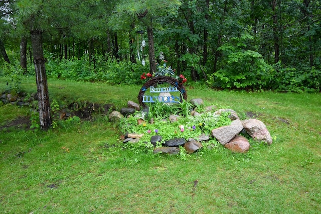 30400 Spruce Dr, Breezy Point, MN 56472 - view of yard featuring a forest view