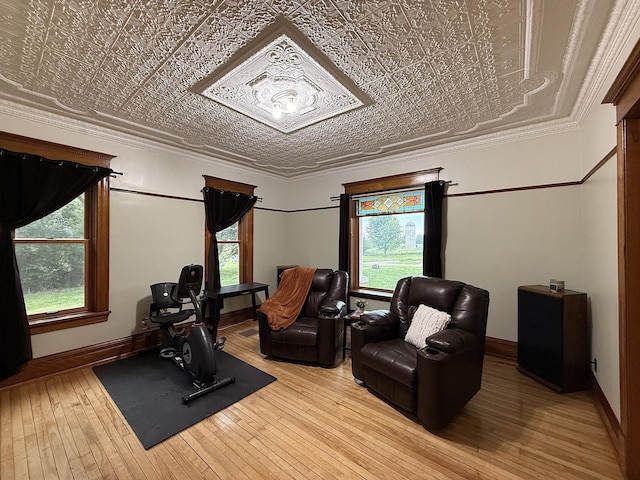 78994 160th St, Sacred Heart, MN 56285 - exercise room with an ornate ceiling and wood-type flooring