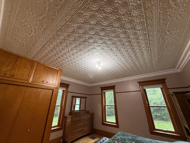78994 160th St, Sacred Heart, MN 56285 - unfurnished bedroom featuring multiple windows and an ornate ceiling