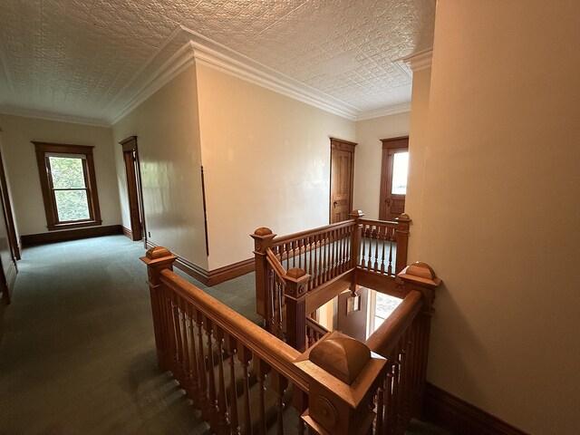 78994 160th St, Sacred Heart, MN 56285 - staircase featuring baseboards, carpet floors, and crown molding