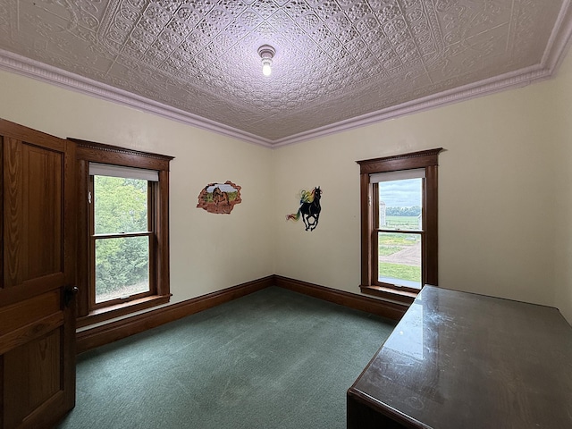 78994 160th St, Sacred Heart, MN 56285 - carpeted empty room with plenty of natural light, an ornate ceiling, and baseboards