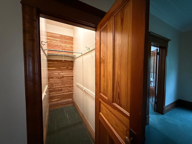 78994 160th St, Sacred Heart, MN 56285 - view of closet