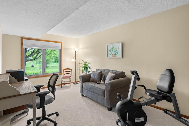 4540 Niagara Ln N, Plymouth, MN 55446 - office space with light colored carpet and a textured ceiling
