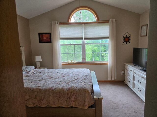 44416 Georgia Ave, Harris, MN 55032 - bedroom with light carpet and vaulted ceiling