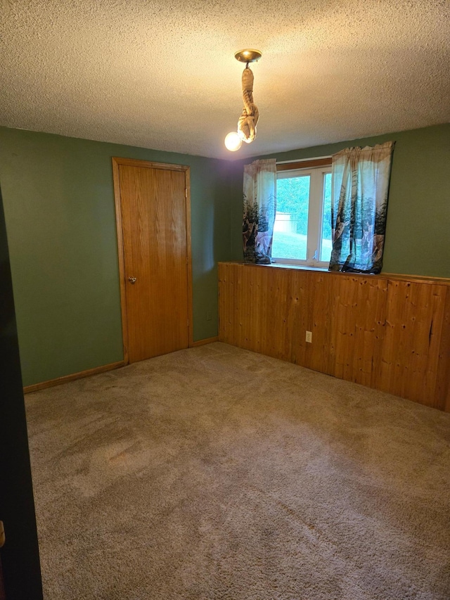 44416 Georgia Ave, Harris, MN 55032 - empty room featuring carpet, a textured ceiling, and wooden walls