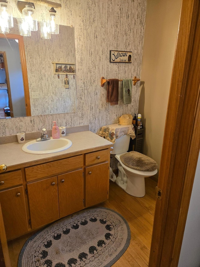 44416 Georgia Ave, Harris, MN 55032 - bathroom with wood finished floors and vanity
