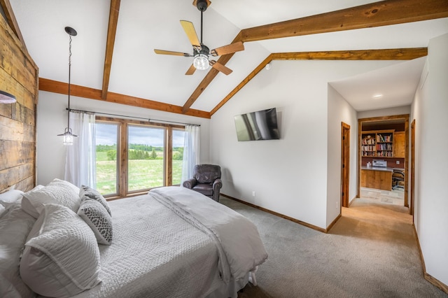 29437 141st Ave, Lanesburgh Twp, MN 56071 - bedroom featuring carpet, baseboards, and a ceiling fan