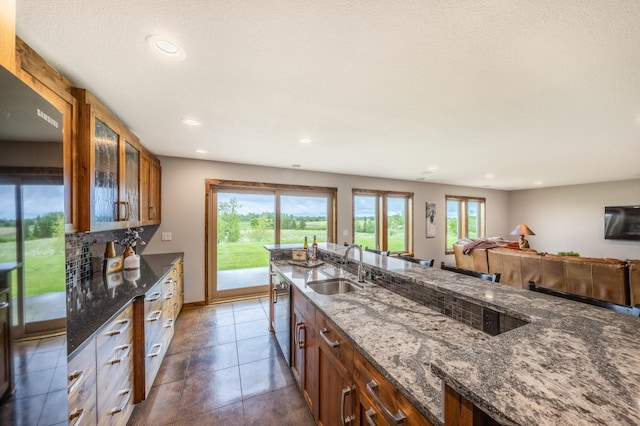29437 141st Ave, Lanesburgh Twp, MN 56071 - kitchen featuring a sink, fridge, glass insert cabinets, dark stone counters, and recessed lighting