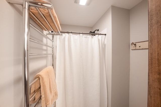 29437 141st Ave, Lanesburgh Twp, MN 56071 - bathroom with curtained shower