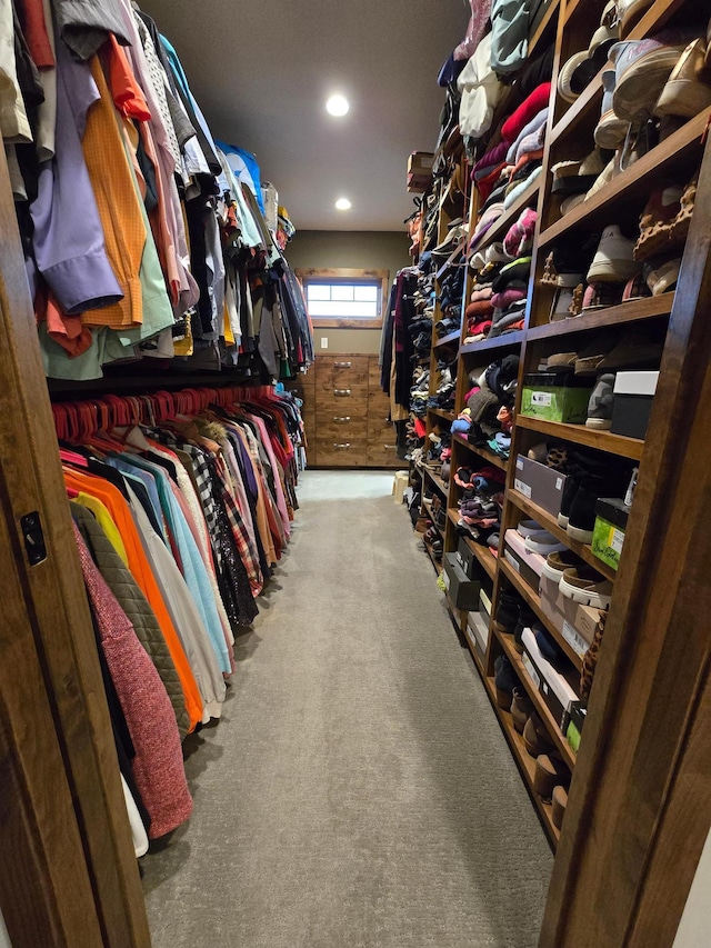 29437 141st Ave, Lanesburgh Twp, MN 56071 - spacious closet featuring carpet flooring