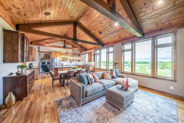 29437 141st Ave, Lanesburgh Twp, MN 56071 - living area with light wood finished floors, healthy amount of natural light, wood ceiling, and baseboards