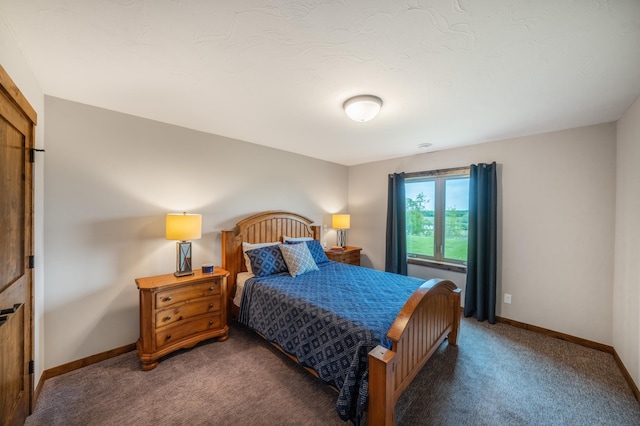 29437 141st Ave, Lanesburgh Twp, MN 56071 - carpeted bedroom with baseboards
