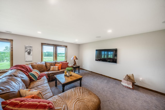 29437 141st Ave, Lanesburgh Twp, MN 56071 - living area with carpet, plenty of natural light, baseboards, and recessed lighting