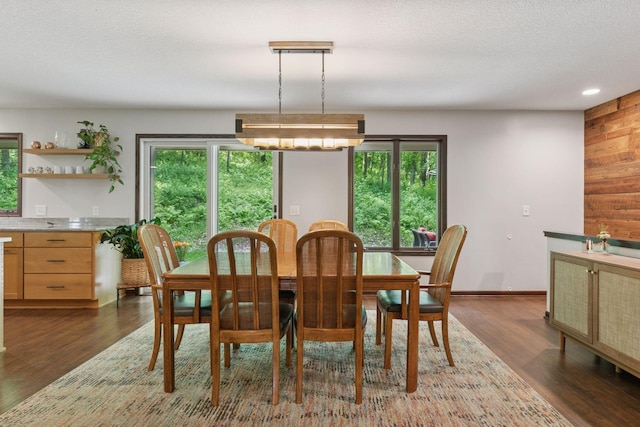 303 Cove Rd, Troy Twp, WI 54016 - dining space featuring plenty of natural light, dark wood-type flooring, and baseboards