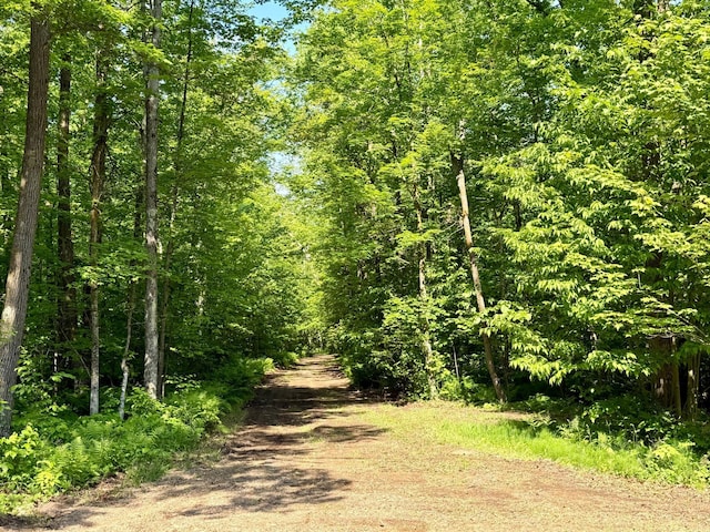 74564 Cane Creek Rd, Kettle River Twp, MN 55704