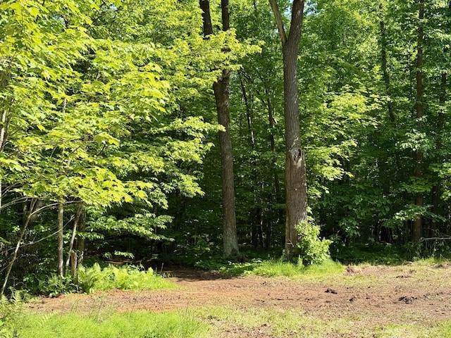 74564 Cane Creek Rd, Kettle River Twp, MN 55704
