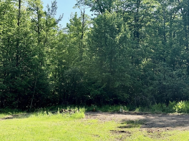 74564 Cane Creek Rd, Kettle River Twp, MN 55704