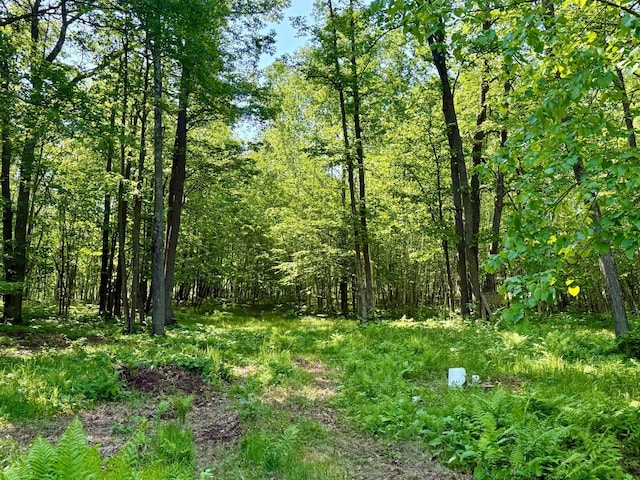 74564 Cane Creek Rd, Kettle River Twp, MN 55704