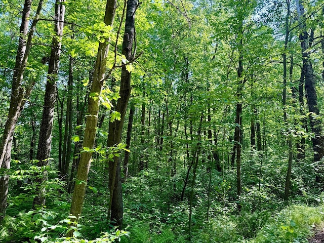 74564 Cane Creek Rd, Kettle River Twp, MN 55704