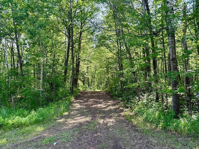 74564 Cane Creek Rd, Kettle River Twp, MN 55704