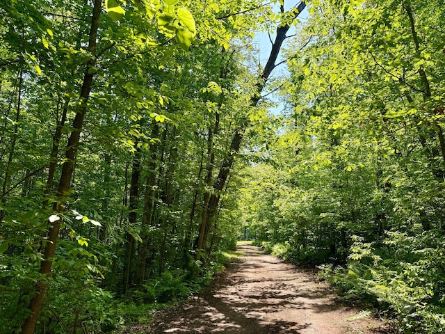74564 Cane Creek Rd, Kettle River Twp, MN 55704