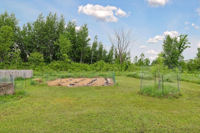 2176 153rd Ave, Mora, MN 55051 - view of yard featuring a garden