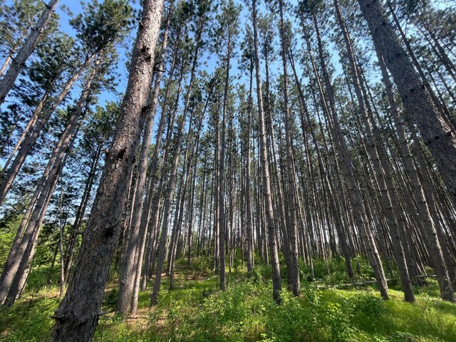 9021 Olson Rd NW, Maple Ridge Twp, MN 56667