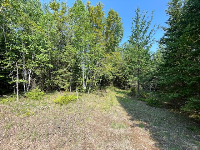9021 Olson Rd NW, Maple Ridge Twp, MN 56667