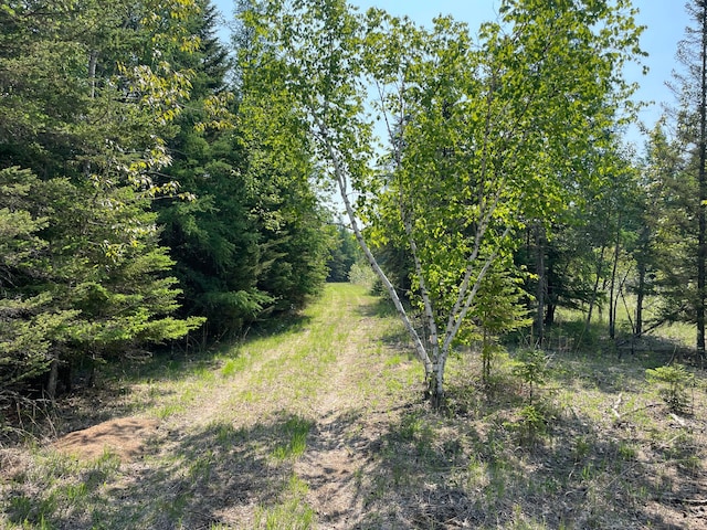 9021 Olson Rd NW, Maple Ridge Twp, MN 56667