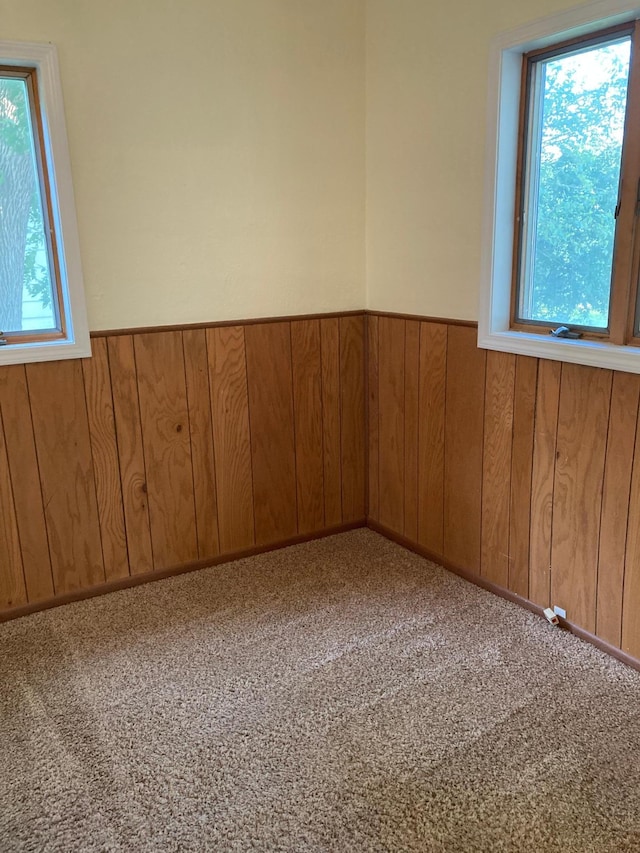 643 Miller Ave, Windom, MN 56101 - carpeted spare room with wainscoting and wood walls