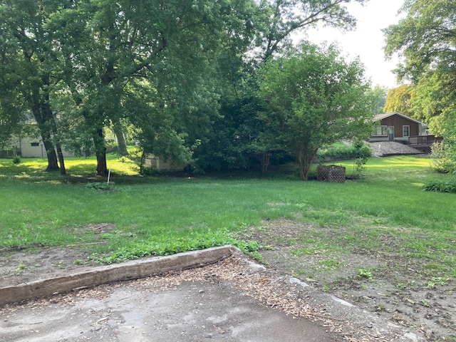 643 Miller Ave, Windom, MN 56101 - view of yard