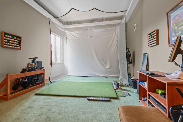 11960 Albavar Path, Inver Grove Heights, MN 55077 - recreation room featuring carpet flooring