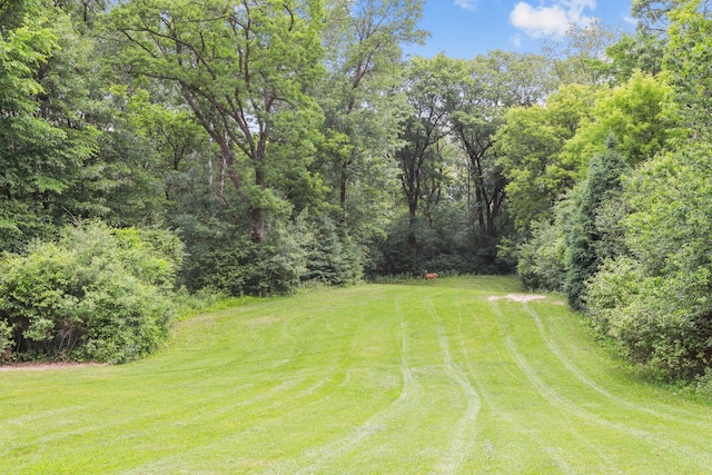 11960 Albavar Path, Inver Grove Heights, MN 55077 - view of grassy yard
