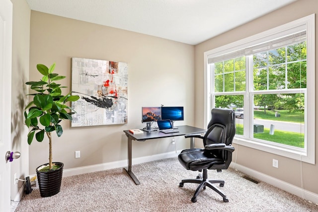 18482 Aubrie Ct, Eden Prairie, MN 55347 - carpeted home office with baseboards